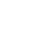 Orca